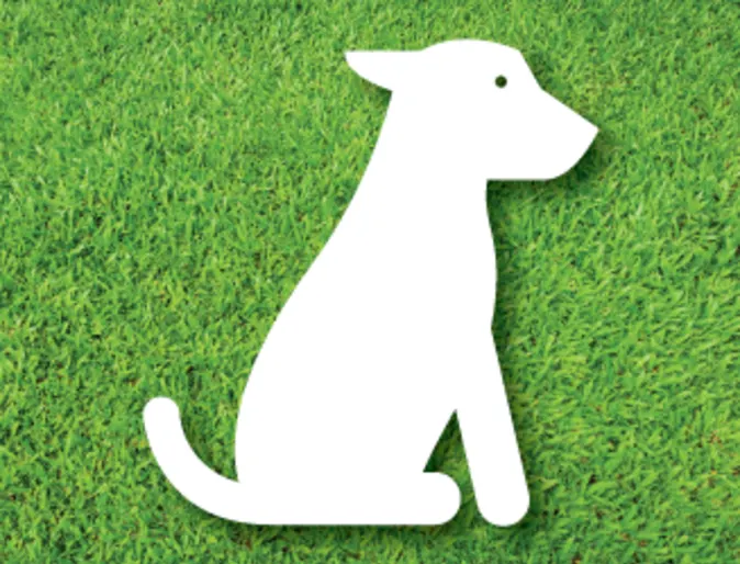 Dog sitting icon in the grass
